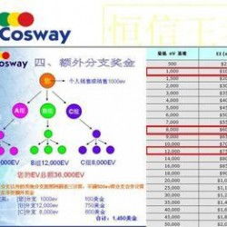 太陽(yáng)線直銷軟件專業(yè)定制開發(fā)全解析 從廠家選擇到價(jià)格評(píng)估